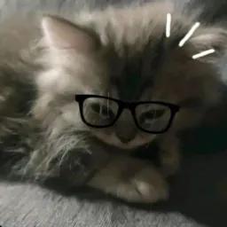 jhimsallantanblip