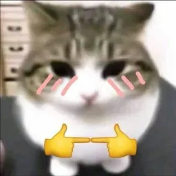 Reincore