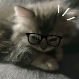 jhimsallantanblip