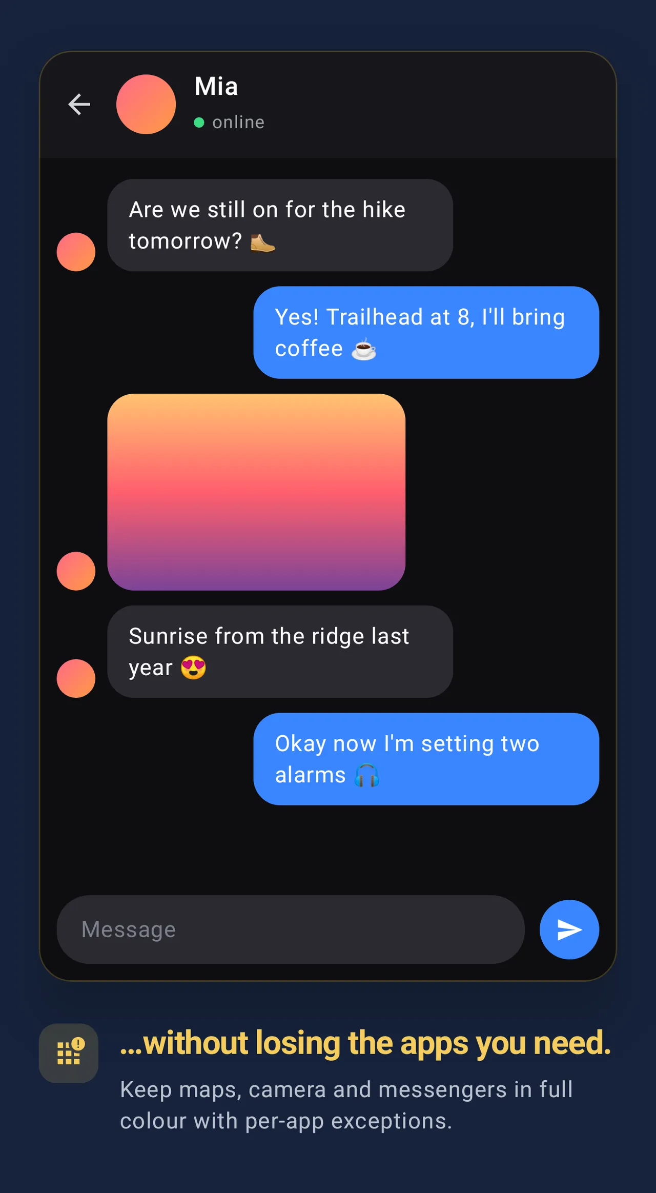 DetoxDroid Screenshot