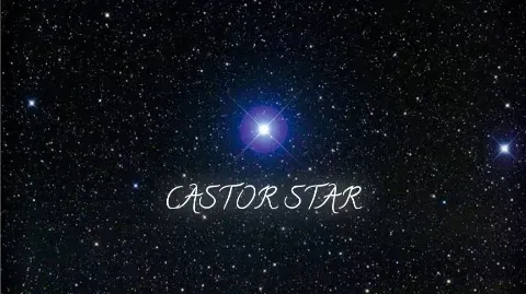 Castor Thermal logo