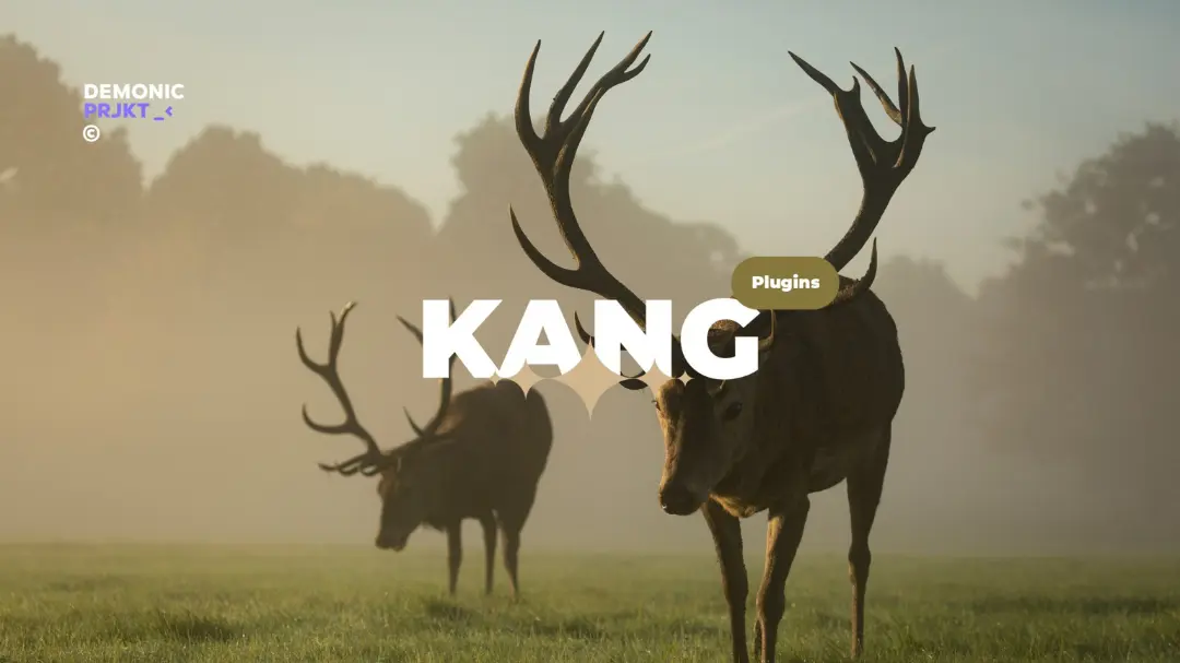 Kang Module Install Via Magisk / AxManager logo
