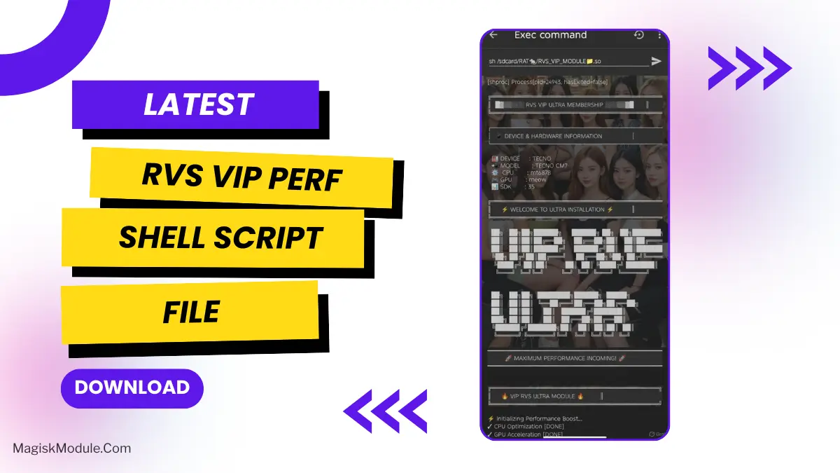 RVS VIP PERF logo