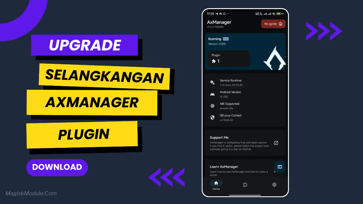 Selangkangan Plugin Flash Via AxManager logo