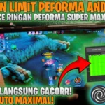 Disabled Limited Performance