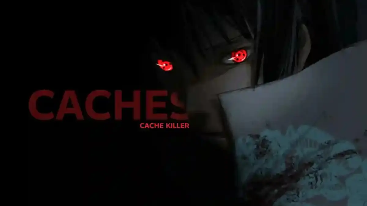 Cachesuke